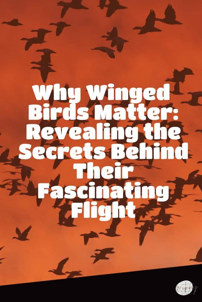 Why Winged Birds Matter: Revealing the Secrets Behind Their Fascinating Flight