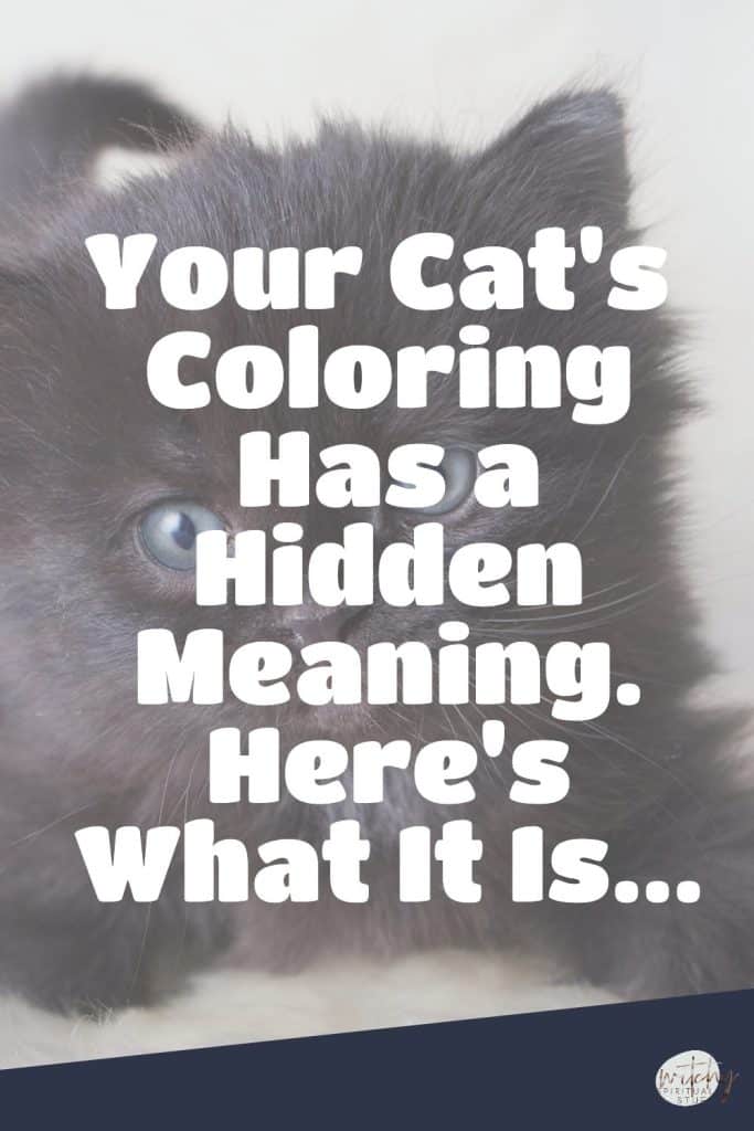 Your Cat's Coloring Has a Hidden Meaning. Here's What It Is...