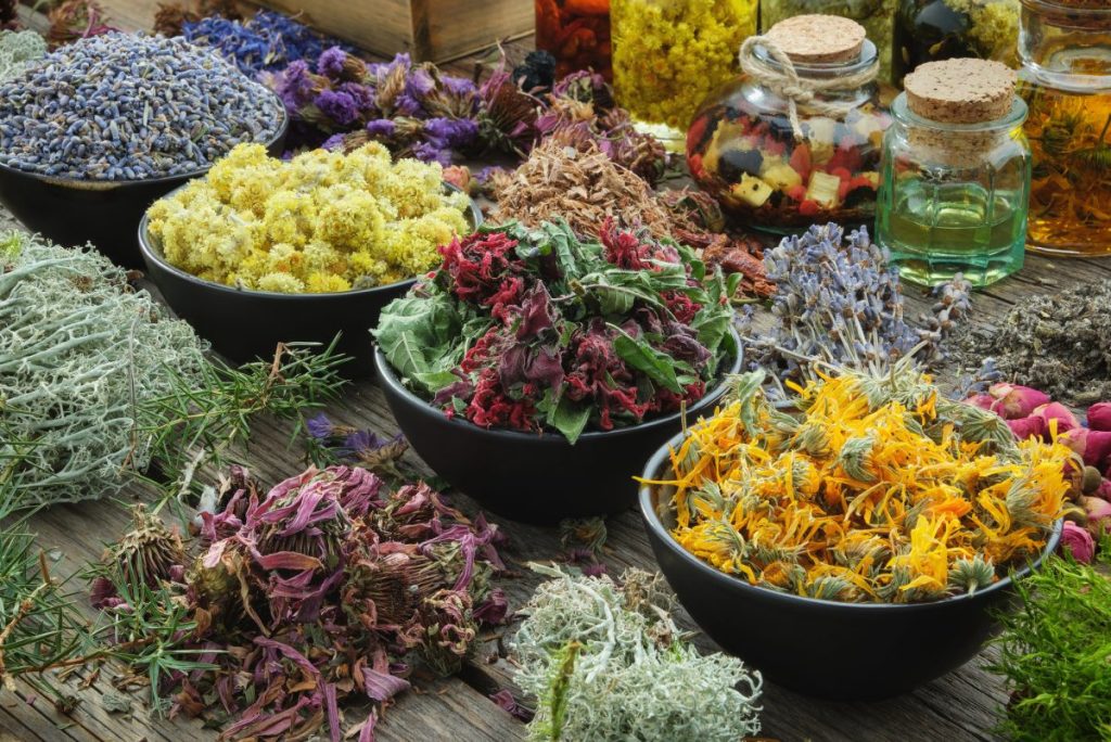 Using Herbs for Protection in Witchcraft