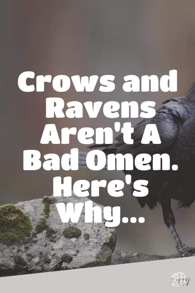 Crows and Ravens Aren't A Bad Omen. Here's Why...