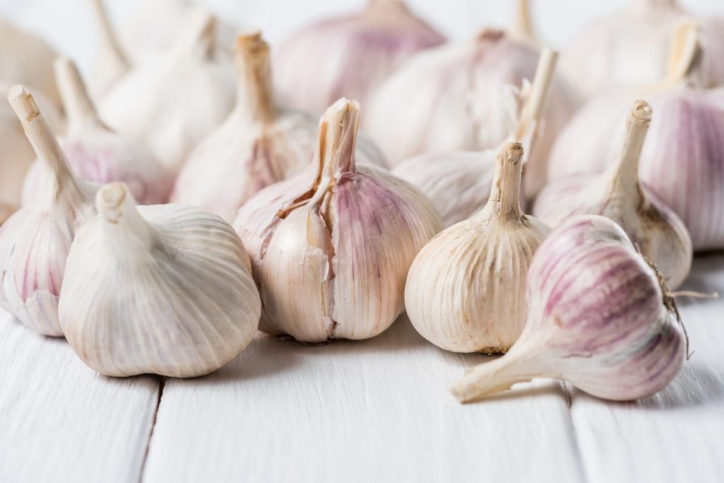 garlic