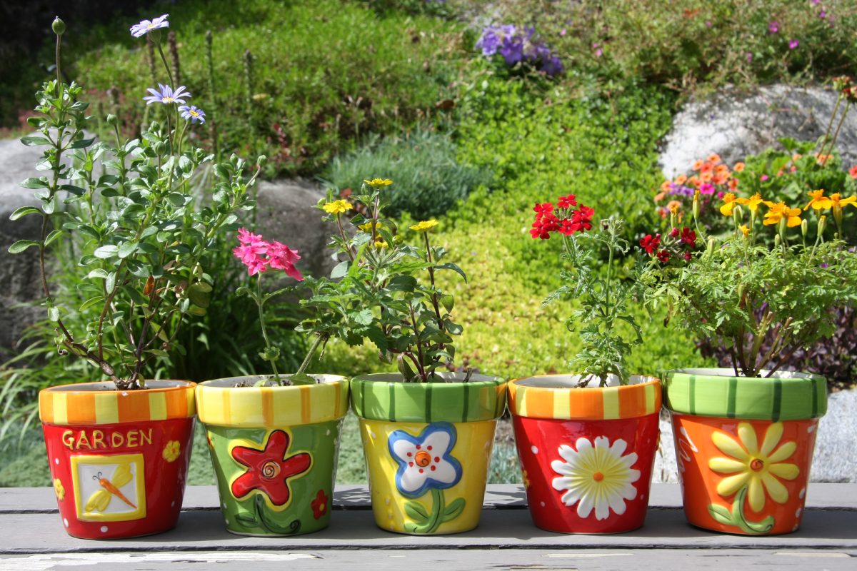Herbalism: Growing Your Own Magical Garden