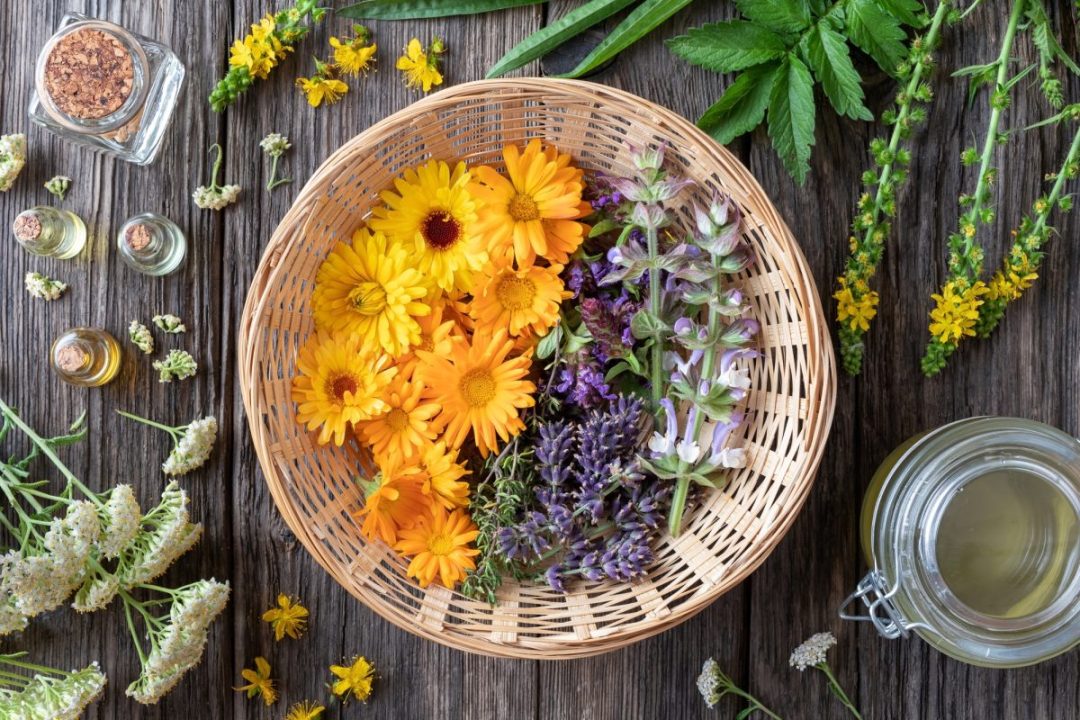 Using Herbs for Healing in Witchcraft