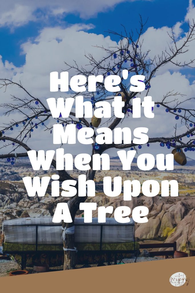 Here's What It Means When You Wish Upon A Tree