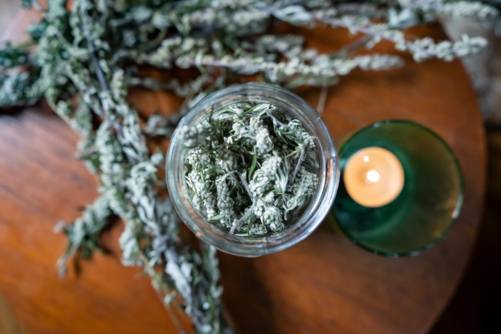 mugwort