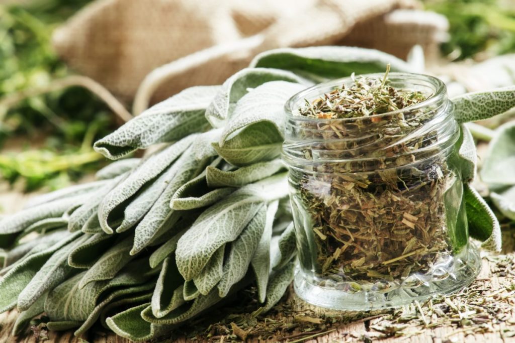 sage in a jar