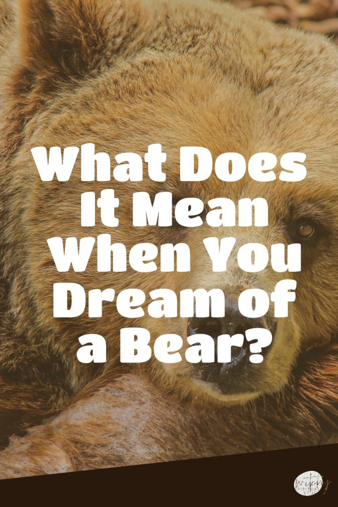 What Does It Mean When You Dream of a Bear?