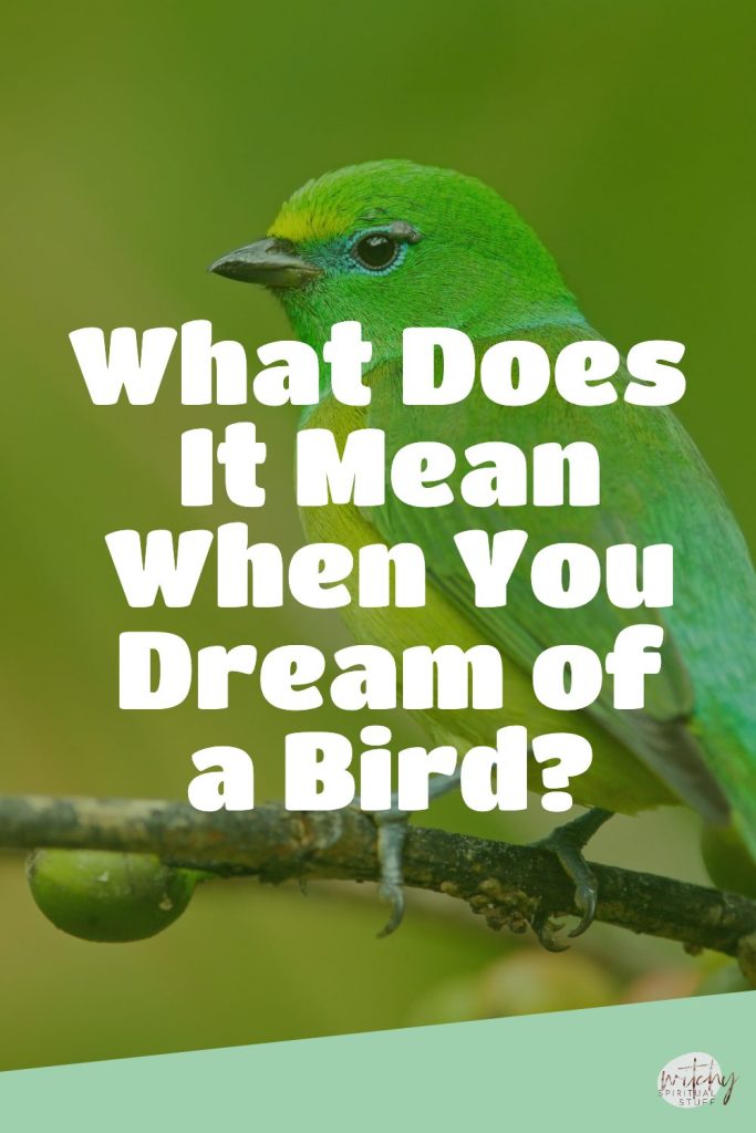 What Does It Mean When You Dream of a Bird?