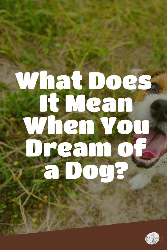 what-does-it-mean-when-you-dream-of-a-dog