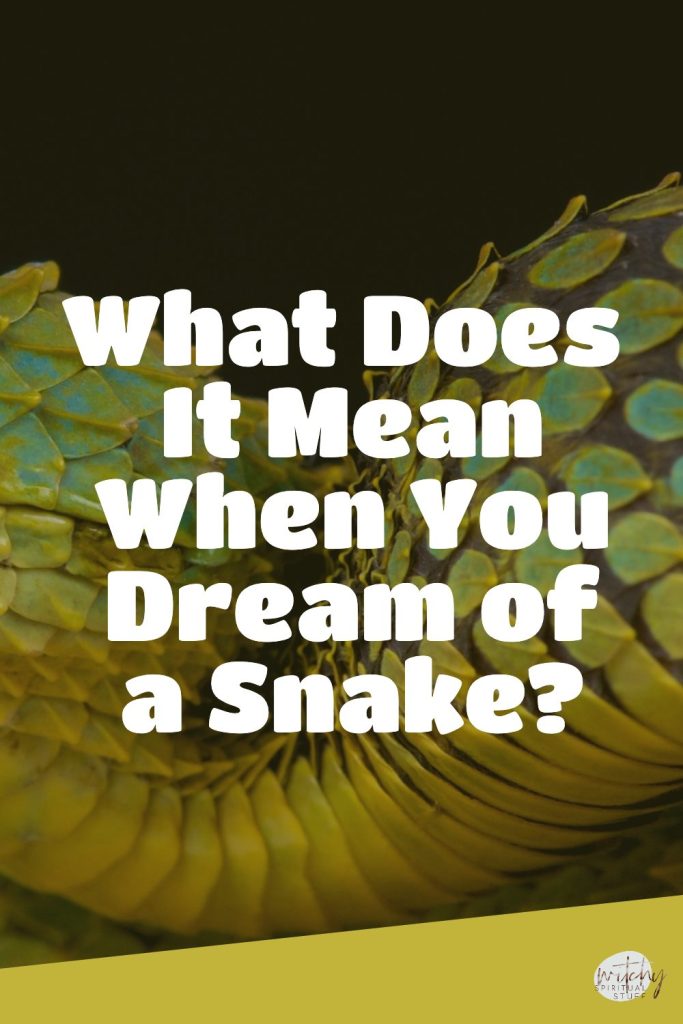 What Does It Mean When You Dream of a Snake?