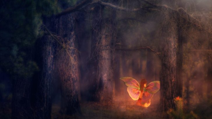 The Hidden Dangers of Thanking the Fae